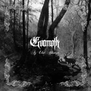 Elhalt virágszirmok