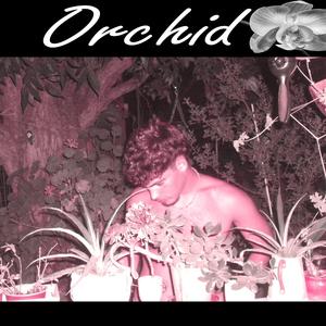 Orchid