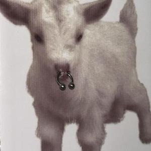 我的所有不安都和你有关 (降速版)