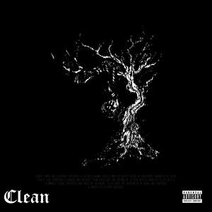 CLEAN