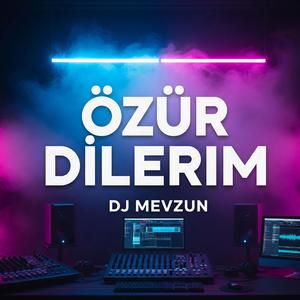 Özür dilerim