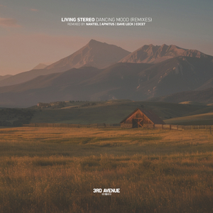 Acetalatis (Dave Leck Remix)