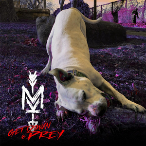 M.T.A.