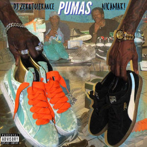 Pumas (feat. Nicamari)