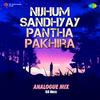 Ri8 Music - Nijhum Sandhyay Pantha Pakhira (Analogue Mix)