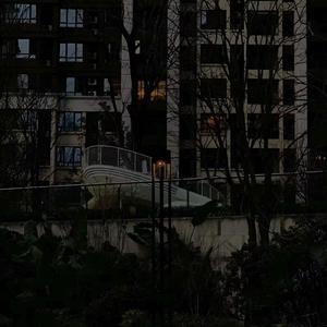 一场游戏一场梦