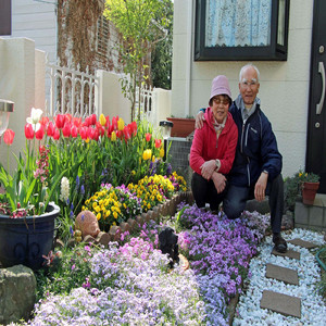 あの丘を越えて