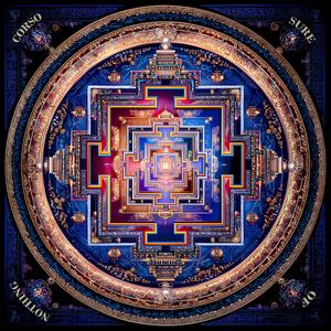 Have you ever looked