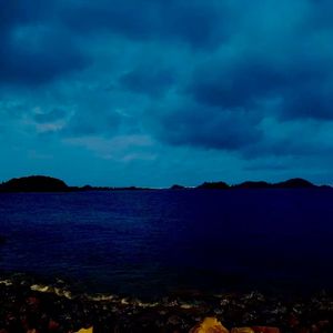 淹死的鱼Deadfish