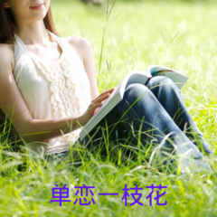 皮卡丘可爱颂 (Remix)