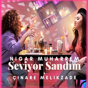 Seviyor Sandım