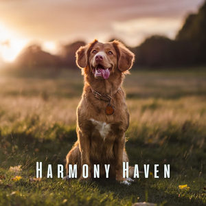 Tranquil Little Tails