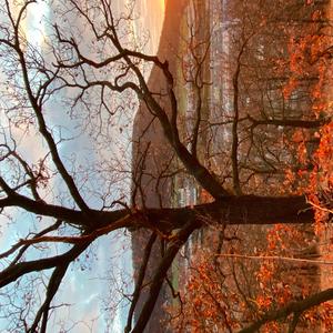 Ballad of a believer