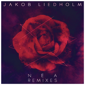 NEA (Steerner Remix)