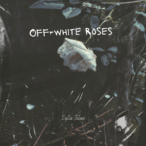 Off-White Roses
