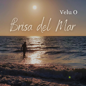 Brisa Del Mar