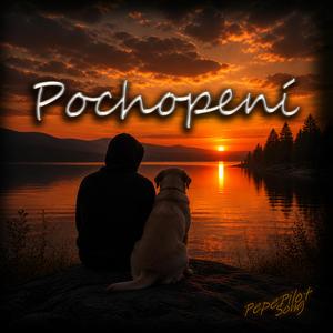 Pochopení