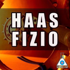 Fizio (remix)