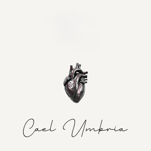 Camino Hacia el Amor