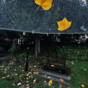 同一颗星下的失眠