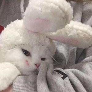 偏向（温柔版）