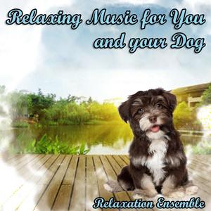 Relaxation Music for Dogs