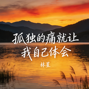 孤独的痛就让我自己体会(伴奏)