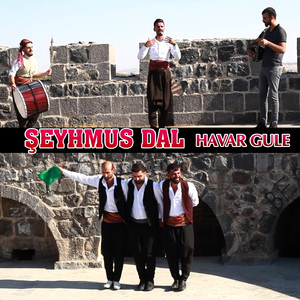 Havar Gule