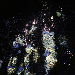 Can you outrun them? (You are not the Wil Wheaton that I know...)