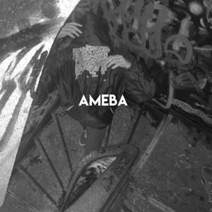 Ameba