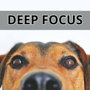 Study Focus Music for Deep Concentration 30 Minutes 40 Hz