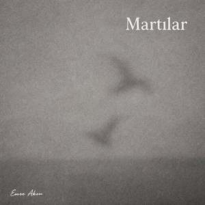 Martılar