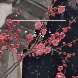 ”原野“中国风trap @R1singRex @WolaxY2