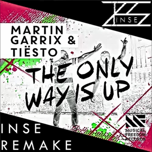 Martin Garrix - The Only Envy is Up (Inse Remix)