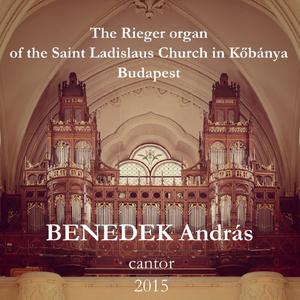 Louis-Nicolas Clérambault: Suite de deuxieme ton: Plain jeu, Basse de Cromorne, Caprice