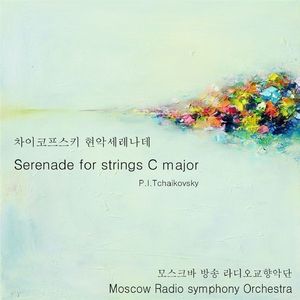 Serenade for strings C major - Formi sonatini