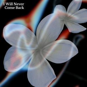 I Will Never Come Back
