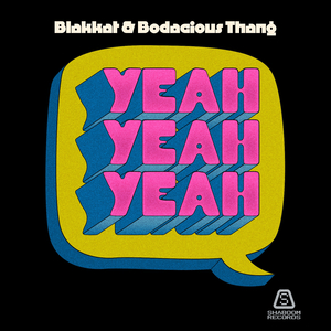 Yeah Yeah Yeah - Blakkat Power Dub