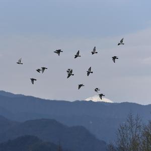 今日方知我是我