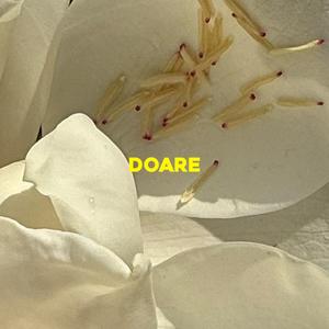 Doare