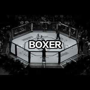 BOXER