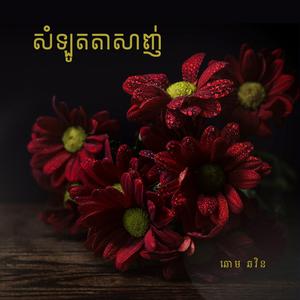 ស្រណោះខេត្តបាត់ដំបង