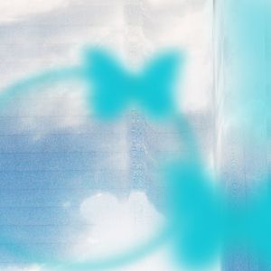 Dried Flower干花（by SOHEE）