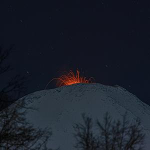 新年不许不快乐
