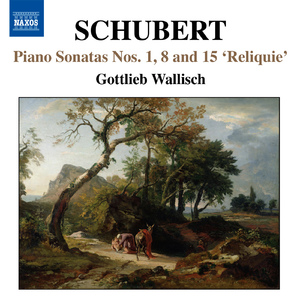 Piano Sonata No. 8 in F-Sharp Minor, D. 571:I. Allegro moderato, D. 571 (fragment)