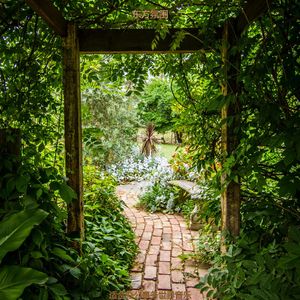 办公事务有魅力的爵士