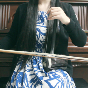 「二胡」相思（Cover 毛阿敏）