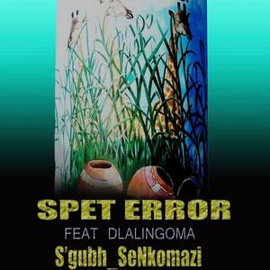 S'gubh_SeNkomzi (feat. Dlalingoma)