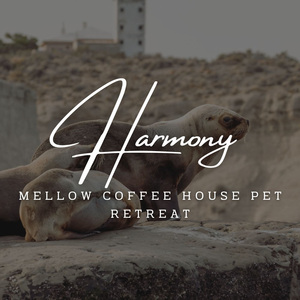 Mellow Coffee House Pet Retreat