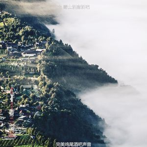 柔和的派对时刻